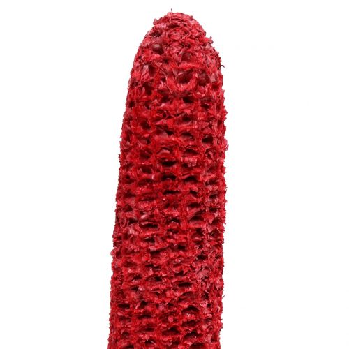 Prodotto Pannocchie di mais su stecco rosse, bianche lavate 20 pz