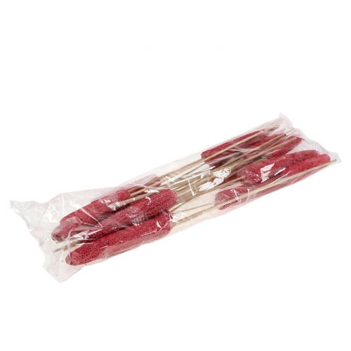 Prodotto Pannocchie di mais su stecco rosse, bianche lavate 20 pz