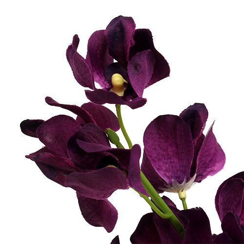Mokara orchidea viola 50 cm artificiale 6 pezzi
