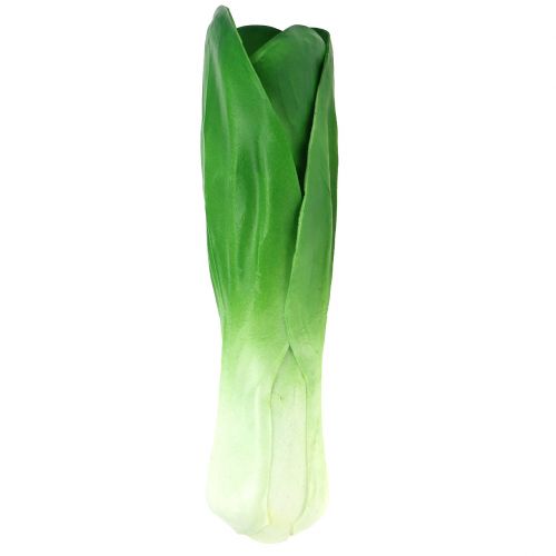 Floristik24 Bietola decorativa vegetale 25,5 cm