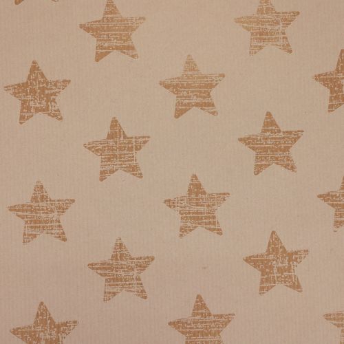 Floristik24 Polsino di carta velina stelle bianche 25 cm 100 m