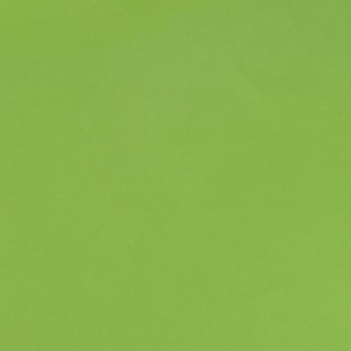 Prodotto Polsino di carta verde maggio carta velina verde 37,5 cm 100 m