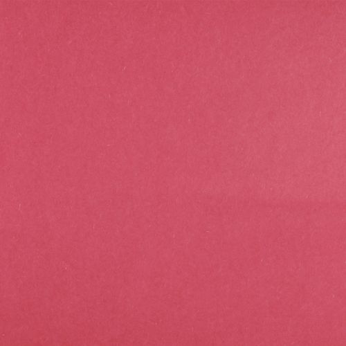 Floristik24 Polsino di carta fiore carta velina rosa 25 cm 100 m