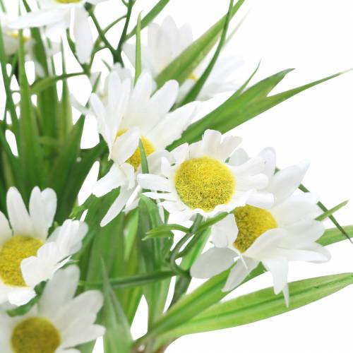 Floristik24 Bouquet di margherite con erba decorativa 37cm