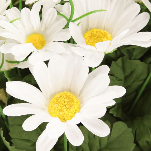 Prodotto Mazzo di margherite bianche 45 cm