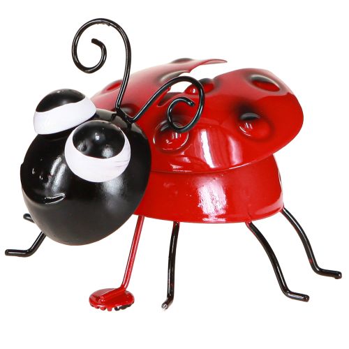 Prodotto Decorazione in metallo a forma di coccinella con magnete assortiti 9,5 cm 2 pezzi