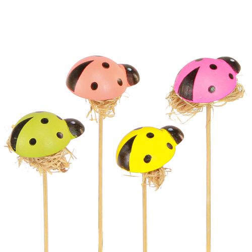 Prodotto Tappi decorativi per fiori coccinella legno colorato 3,5 cm 24 pz