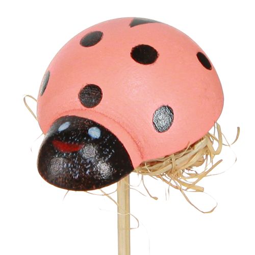 Prodotto Tappi decorativi per fiori coccinella legno colorato 3,5 cm 24 pz