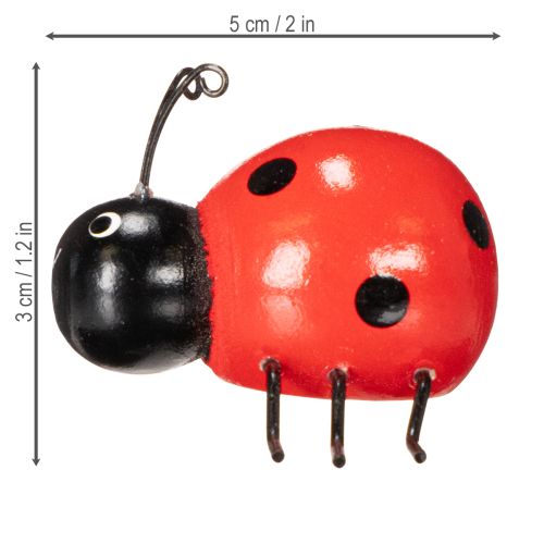 Prodotto Coccinelle/insetti portafortuna in legno come graziose decorazioni per la casa, 5 cm, 6 pezzi