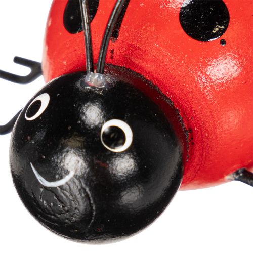 Prodotto Coccinelle/insetti portafortuna in legno come graziose decorazioni per la casa, 5 cm, 6 pezzi
