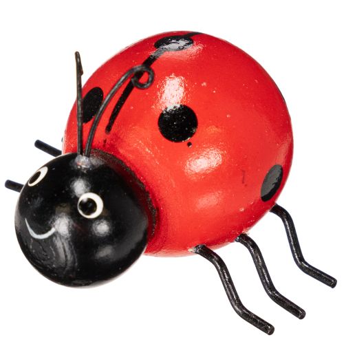 Prodotto Coccinelle/insetti portafortuna in legno come graziose decorazioni per la casa, 5 cm, 6 pezzi