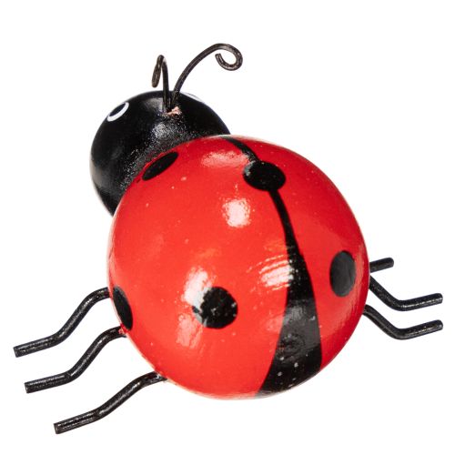 Prodotto Coccinelle/insetti portafortuna in legno come graziose decorazioni per la casa, 5 cm, 6 pezzi