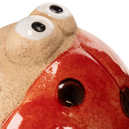 Prodotto Picchetti da giardino a forma di coccinella, elemento decorativo per la decorazione del giardino, 25 cm, 4 pezzi