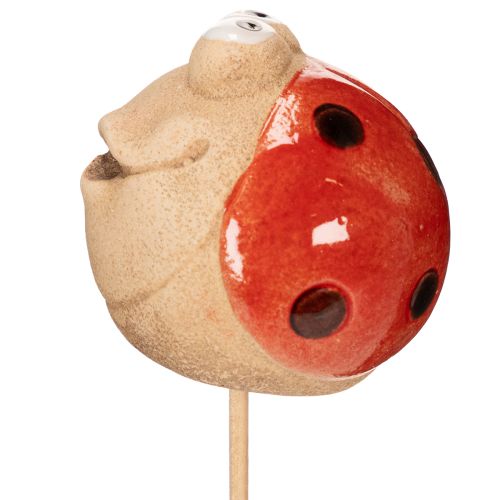 Prodotto Picchetti da giardino a forma di coccinella, elemento decorativo per la decorazione del giardino, 25 cm, 4 pezzi