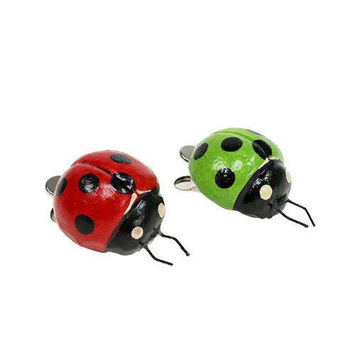 Floristik24 Coccinella con clip rosso, verde 3,5 cm 6 pezzi