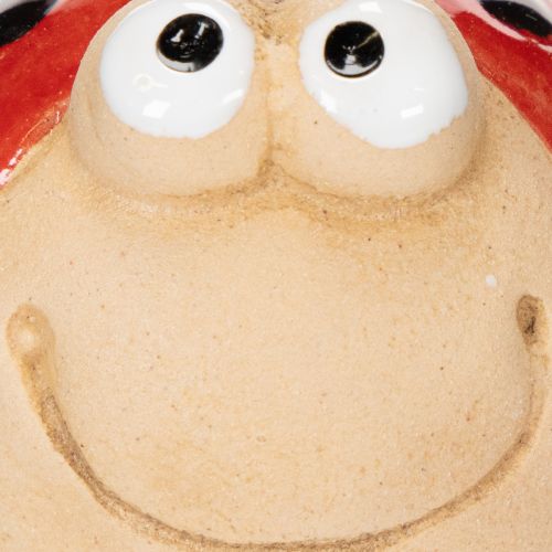 Prodotto Coccinella decorativa in ceramica per allegre decorazioni da giardino e davanzali, 7 cm, 3 pezzi