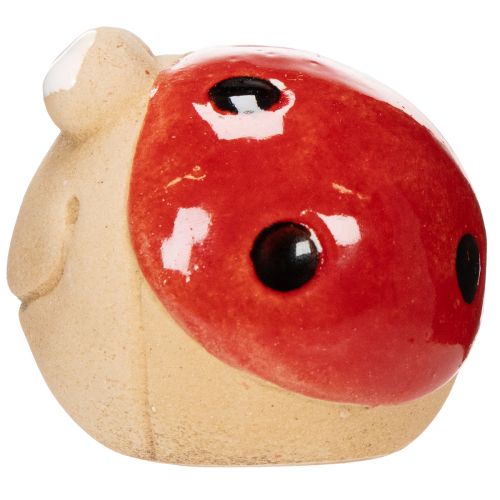 Prodotto Coccinella decorativa in ceramica per allegre decorazioni da giardino e davanzali, 7 cm, 3 pezzi