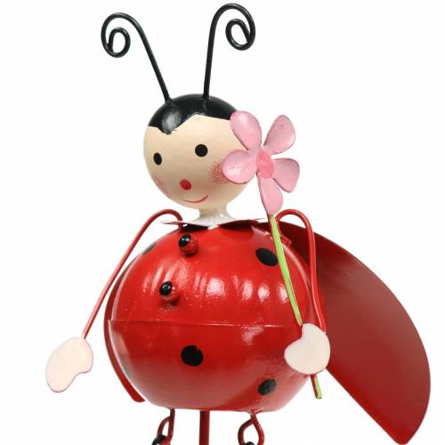 Floristik24 Spina decorativa coccinella metallo H35cm 3pz