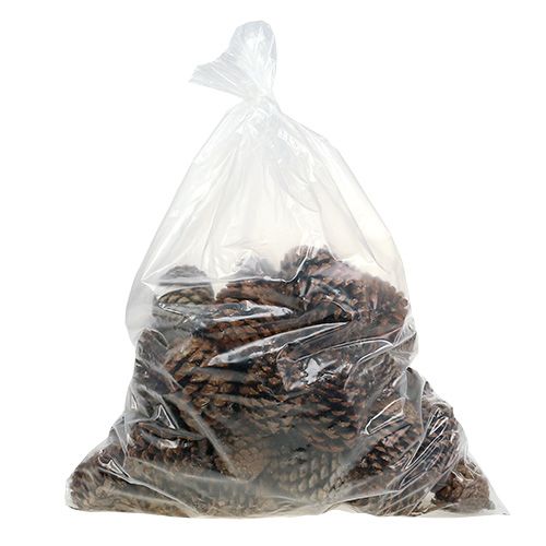 Prodotto Coni Maritima 10/14 naturali 50 pz