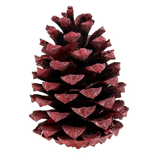 Prodotto Coni Maritima 10-15 cm rosso satinato 12 pz
