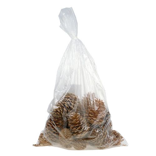 Prodotto Coni Maritima misti crema-vaniglia 5-18 cm 25 pz