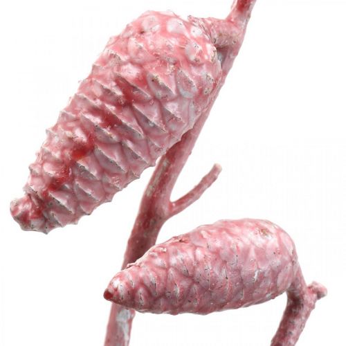 Floristik24 Cono marittimo su ramo rosa/bianco cerato 400g