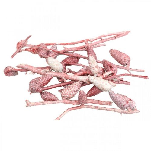 Floristik24 Cono marittimo su ramo rosa/bianco cerato 400g