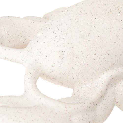 Prodotto Decorazione marittima in ceramica figura aragosta bianca 26,5×13×5cm