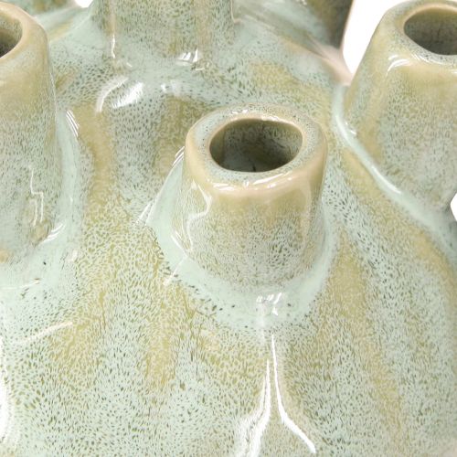 Prodotto Vaso decorativo marittimo Coral Look verde chiaro Ø11,5cm H10cm