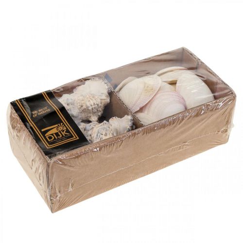 Floristik24 Decorazione Marittima Conchiglie Conchiglie di Lumaca Streudeko 600g
