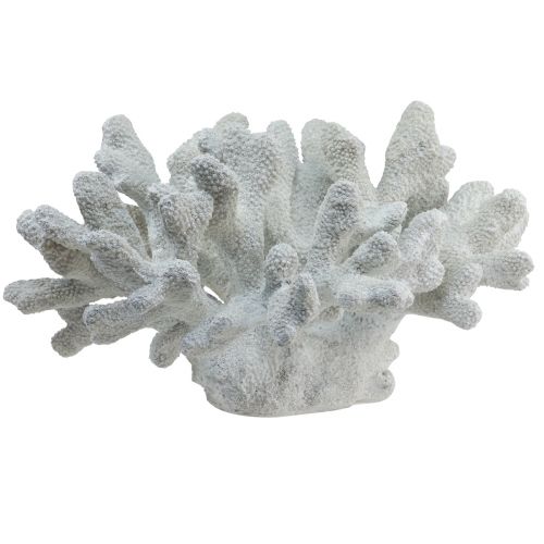 Floristik24 Decorazione marittima corallo in poliresina bianca 38 cm × 44 cm × 27 cm
