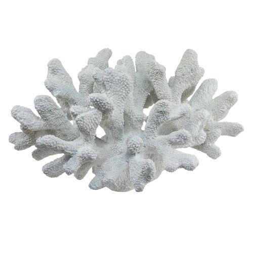 Floristik24 Decorazione marittima corallo in poliresina bianca 38 cm × 44 cm × 27 cm