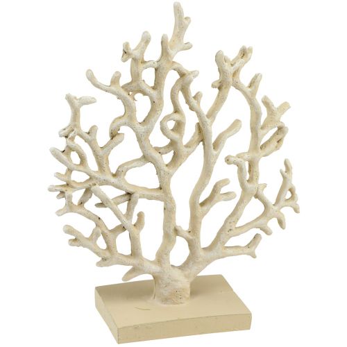 Floristik24 Decorazione da tavolo marittima corallo beige decorativo poliresina corallo H20cm