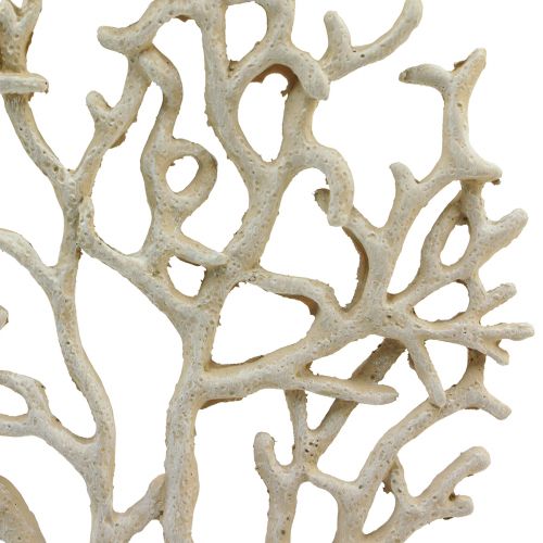 Floristik24 Decorazione da tavolo marittima corallo beige decorativo poliresina corallo H20cm