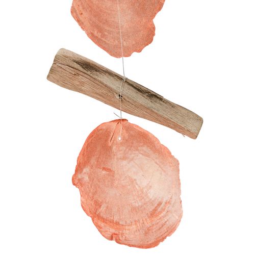 Prodotto Appendiabiti decorazione marittima Capiz conchiglie legni arancioni naturali 35 cm