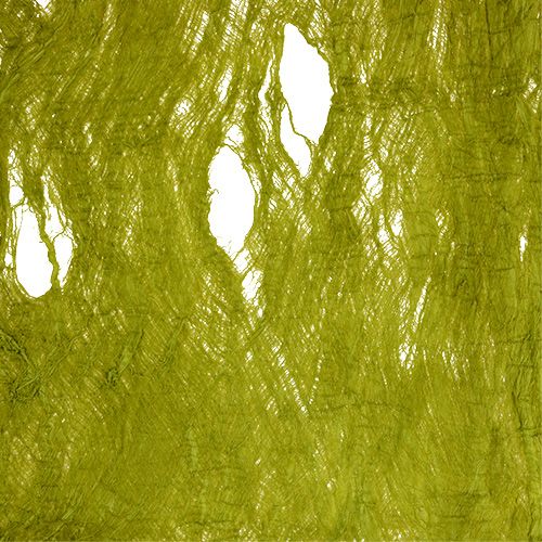 Floristik24 Corteccia di gelso verde mela 250g