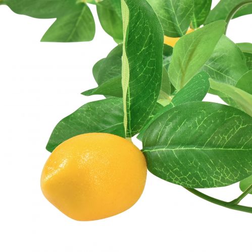 Floristik24 Ghirlanda decorativa mediterranea decorazione limone artificiale 165 cm