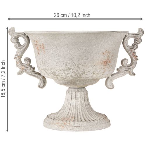 Floristik24 Trofeo decorativo in metallo con manici grigio ruggine vintage H18,5cm