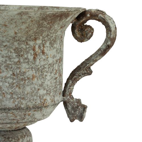 Prodotto Trofeo decorativo in metallo con manico marrone bianco Ø13,5 cm H19,5 cm