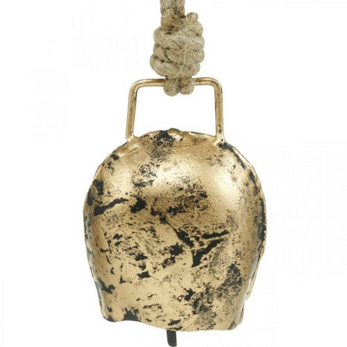 Floristik24 Campane da appendere, mini campanacci, casa di campagna, campane in metallo dorato, aspetto antico 7 × 5 cm 12 pezzi