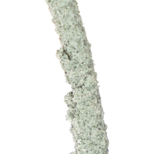 Anello rotondo decorativo su base in legno, in metallo, per fiori secchi, 52 cm | Floristik24.it