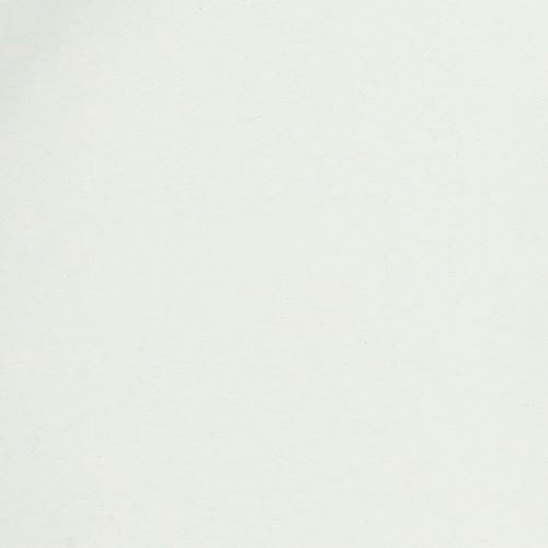 Prodotto Vassoio con pratiche maniglie per un utilizzo versatile in casa e nella ristorazione, 22 cm