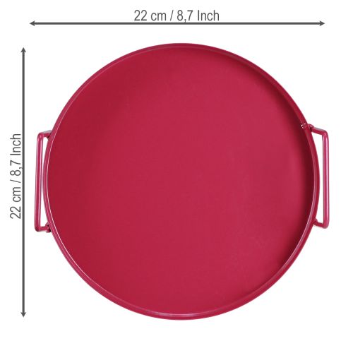 Prodotto Vassoio versatile, pratico contenitore per sala da pranzo e terrazza, 22 cm