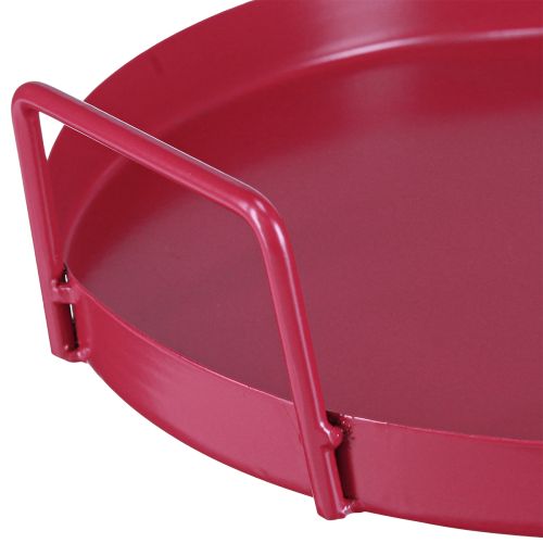Prodotto Vassoio versatile, pratico contenitore per sala da pranzo e terrazza, 22 cm