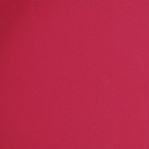 Prodotto Vassoio versatile, pratico contenitore per sala da pranzo e terrazza, 22 cm