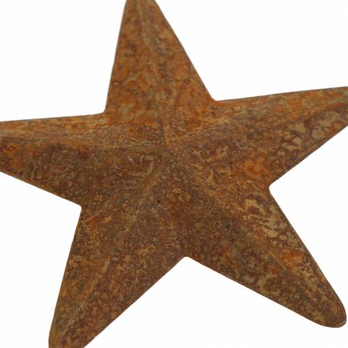 Floristik24 Metallo patina stellare 5 cm 24 pz