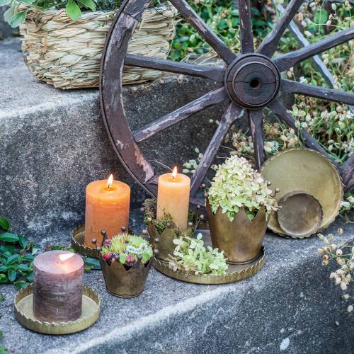 Floristik24 Piatti in metallo per decorare, decorare la tavola, portacandele rotondi effetto antico dorato Ø7,5/10/12/15/18cm H2cm set di 5