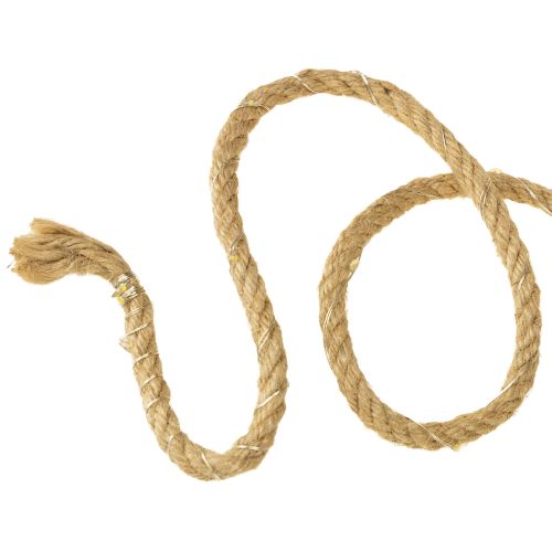 Floristik24 Catena luminosa a micro LED con cavo per interni bianco caldo 390 cm