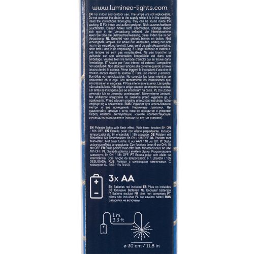 Stella polare decorativa a