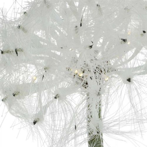 Floristik24 Tarassaco LED per illuminazione fiore artificiale bianco a batteria H50cm